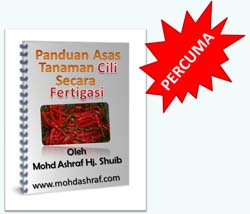 Artis Bugil Cerita Panas Cerita Sex Lain-Lain Sedarah Sex Umum Umum